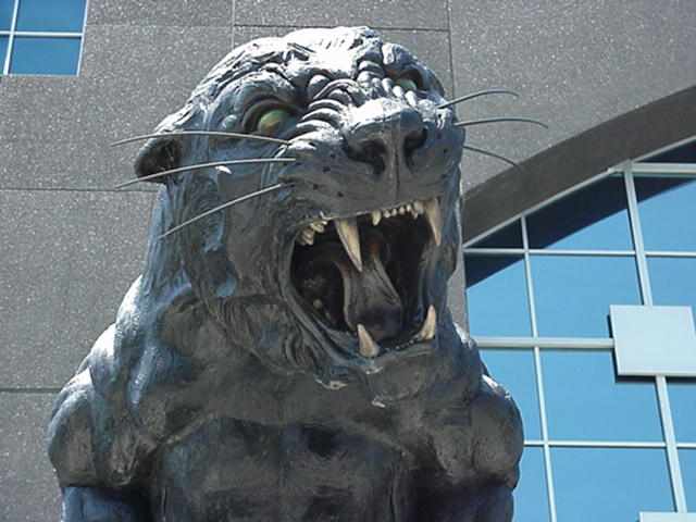 panther.jpg